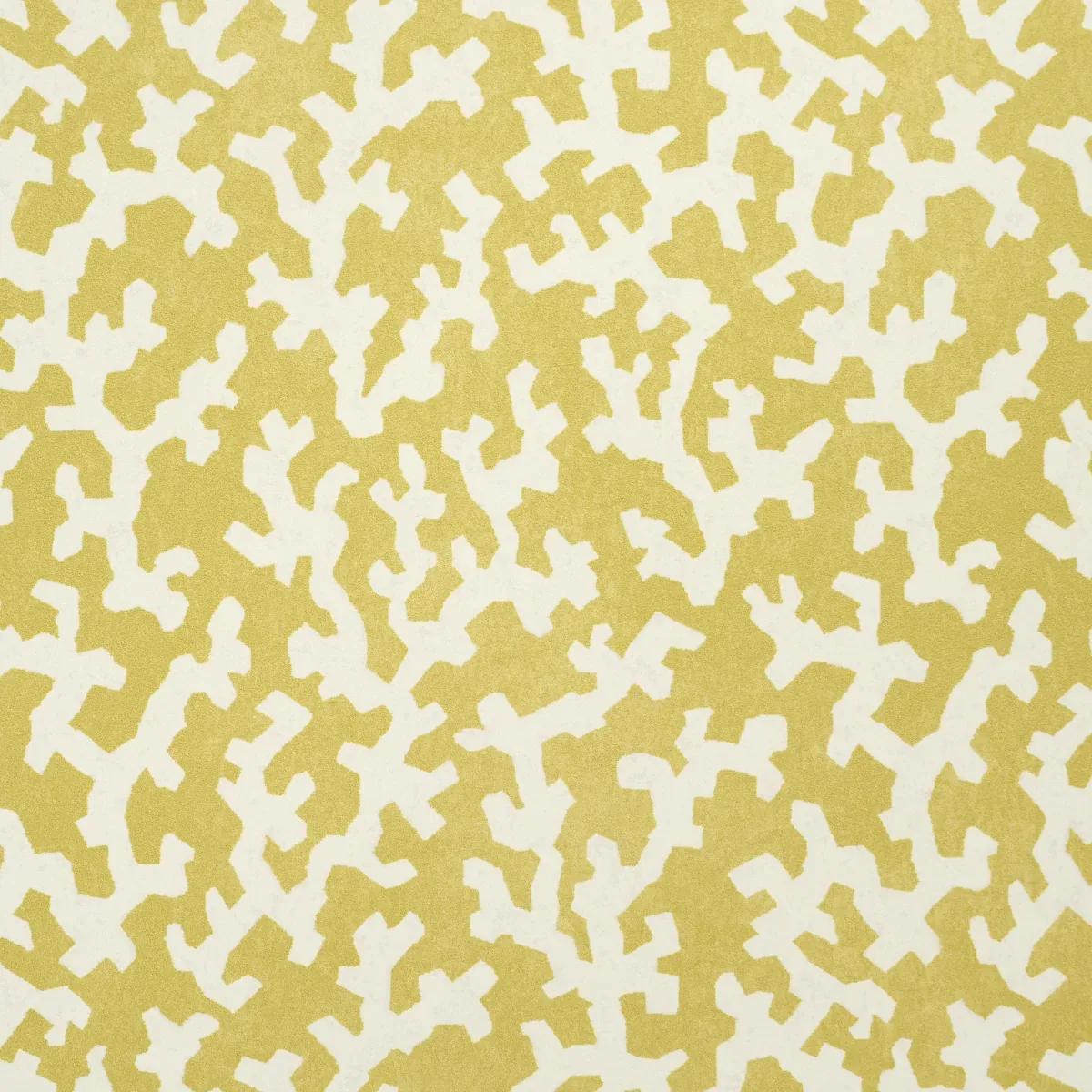 FOLLY - MIMOSA Schumacher Wallpaper | Wallpaper Twins FOLLY MIMOSA Schumacher Wallpaper wallpaper - SKU 5008007