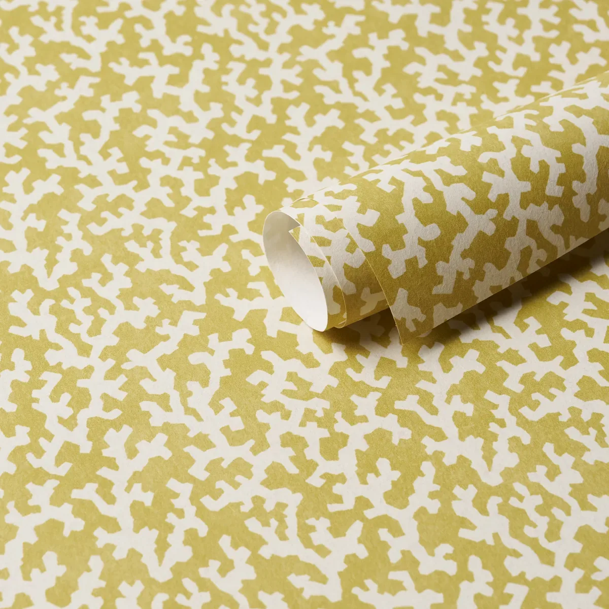 FOLLY - MIMOSA Schumacher Wallpaper | Wallpaper Twins FOLLY MIMOSA Schumacher Wallpaper wallpaper - SKU 5008007