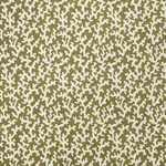 FOLLY OLIVE Schumacher Wallpaper wallpaper - SKU 5008008