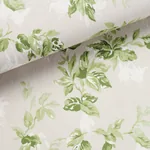 GARDEN GATE SOFT NEUTRAL Schumacher Wallpaper wallpaper - SKU 5013871