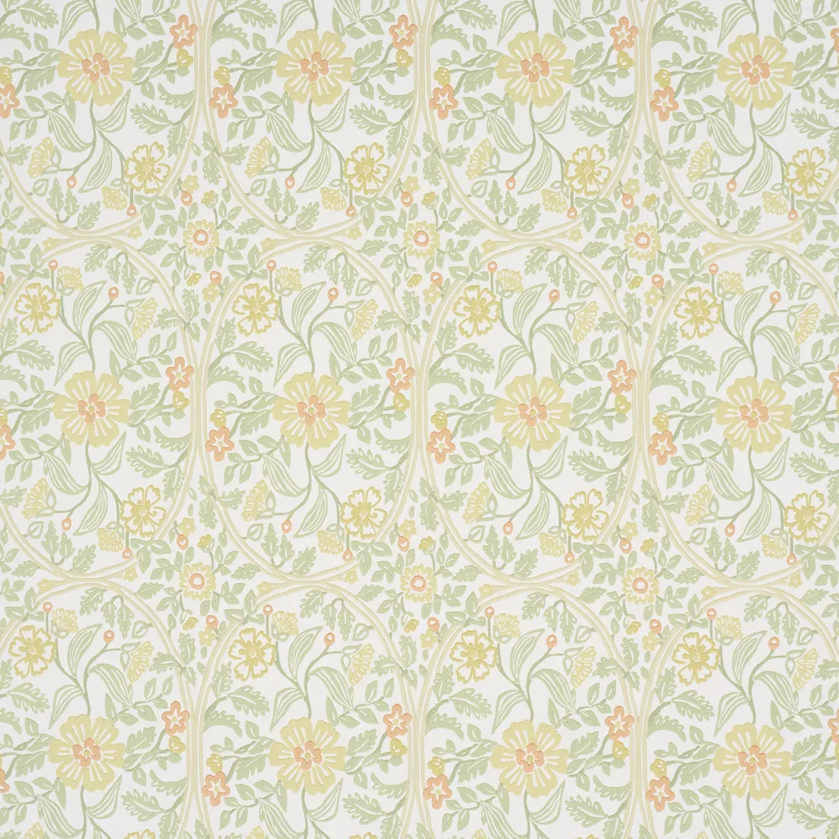 5016271 | GARDEN GUILD – MARIGOLD
