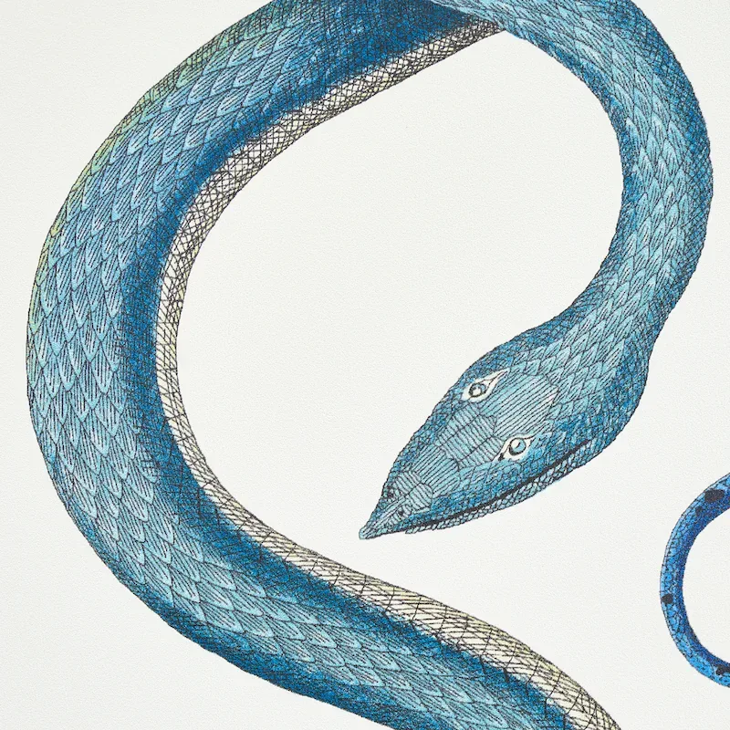 GIOVE EMERALD & SAPPHIRE Schumacher Wallpaper wallpaper - SKU 5009460
