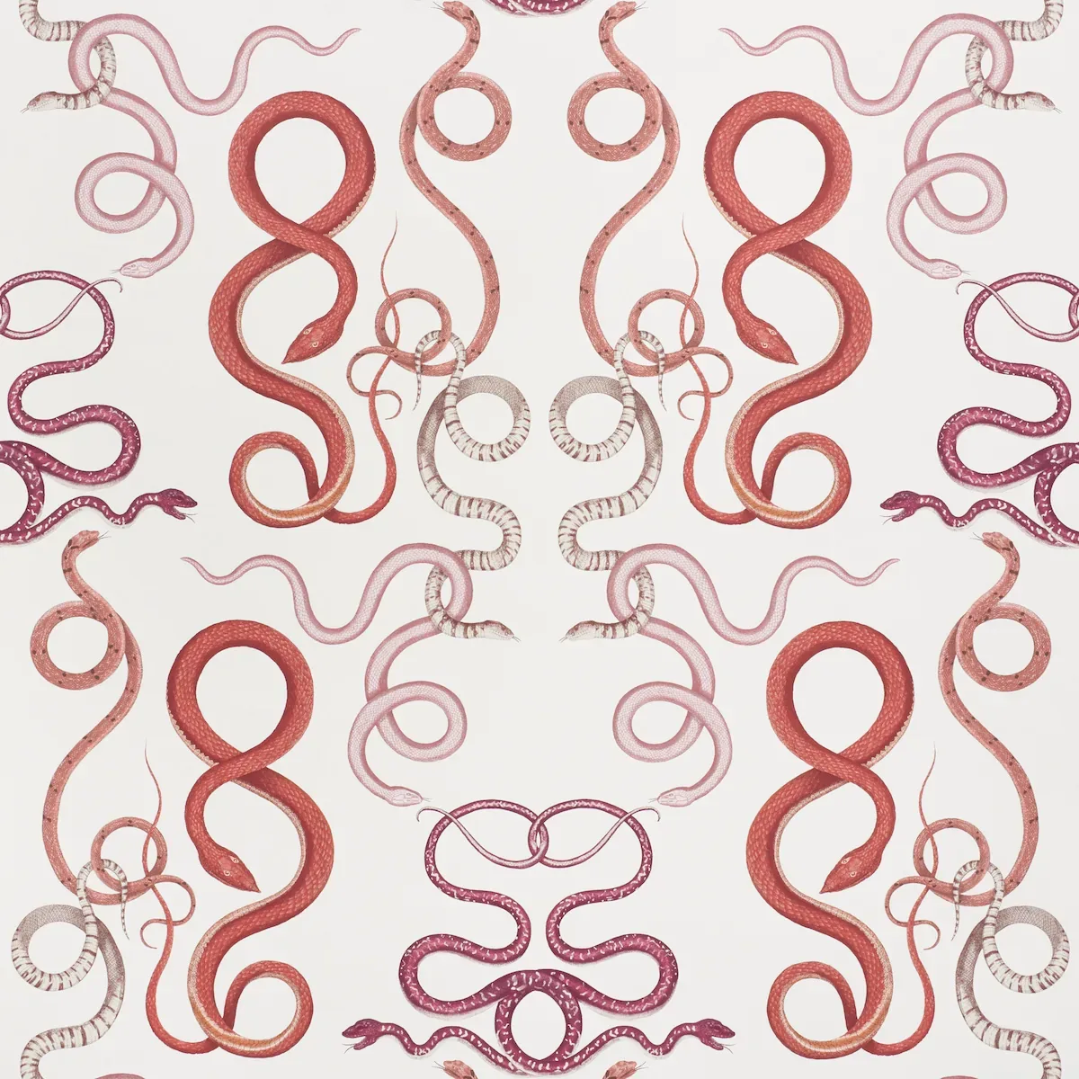 GIOVE RUBY & GARNET Schumacher Wallpaper wallpaper - SKU 5009461