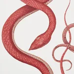 GIOVE RUBY & GARNET Schumacher Wallpaper wallpaper - SKU 5009461