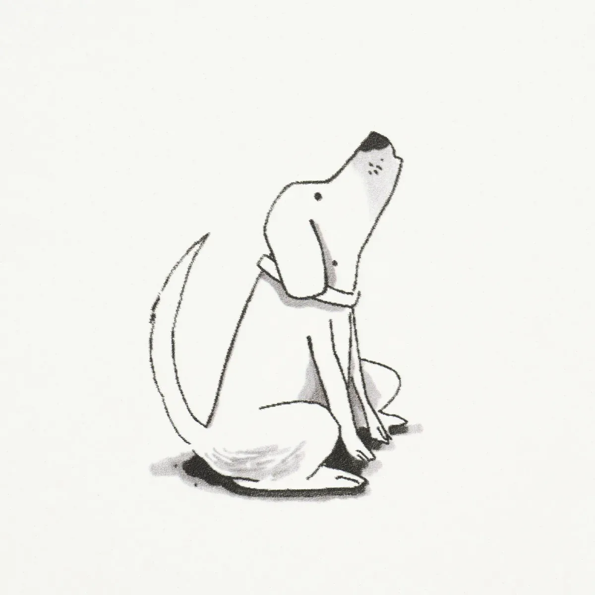 GOOD DOGS EVERYWHERE - BLACK & WHITE Schumacher Wallpaper | GOOD DOGS EVERYWHERE BLACK & WHITE Schumacher Wallpaper wallpaper - SKU 5016130