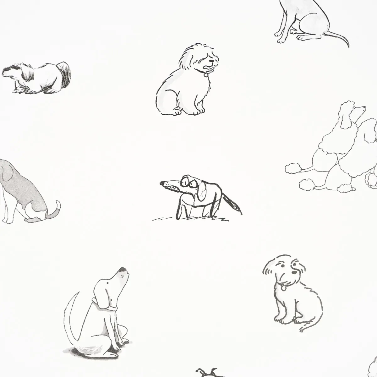 GOOD DOGS EVERYWHERE - BLACK & WHITE Schumacher Wallpaper | GOOD DOGS EVERYWHERE BLACK & WHITE Schumacher Wallpaper wallpaper - SKU 5016300