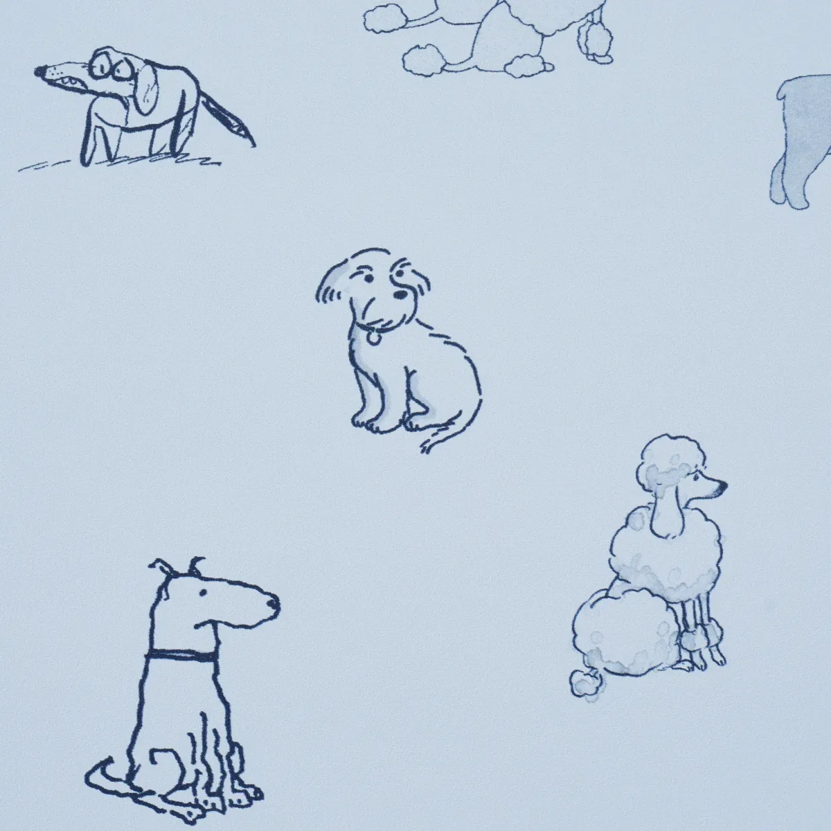 GOOD DOGS EVERYWHERE - SKY & NAVY BLUE Schumacher Wallpaper GOOD DOGS EVERYWHERE SKY & NAVY BLUE Schumacher Wallpaper wallpaper - SKU 5016132