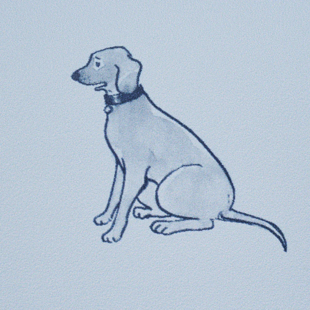 GOOD DOGS EVERYWHERE - SKY & NAVY BLUE Schumacher Wallpaper GOOD DOGS EVERYWHERE SKY & NAVY BLUE Schumacher Wallpaper wallpaper - SKU 5016132