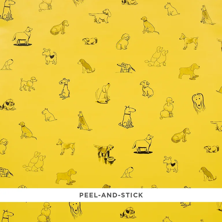 Schumacher GOOD DOGS EVERYWHERE wallpaper