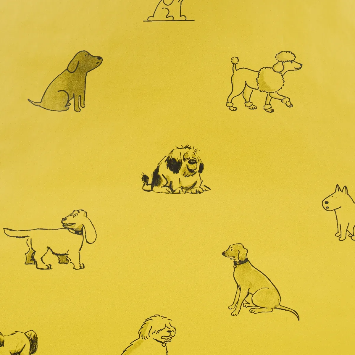 GOOD DOGS EVERYWHERE - TAXI-CAB YELLOW Schumacher Wallpaper GOOD DOGS EVERYWHERE TAXI-CAB YELLOW Schumacher Wallpaper wallpaper - SKU 5016301