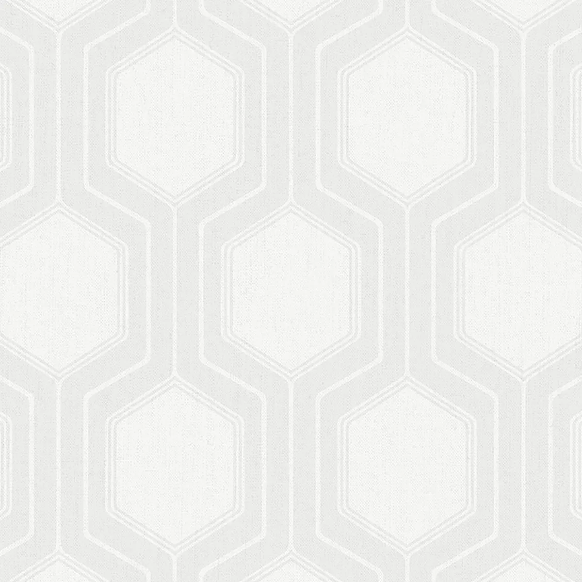 GRAPHIC HEXAGON