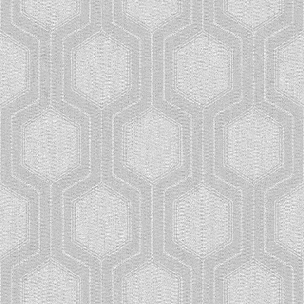 GRAPHIC HEXAGON