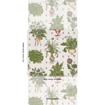 GREEN GROCER MULTI Schumacher Wallpaper wallpaper - SKU 5016780