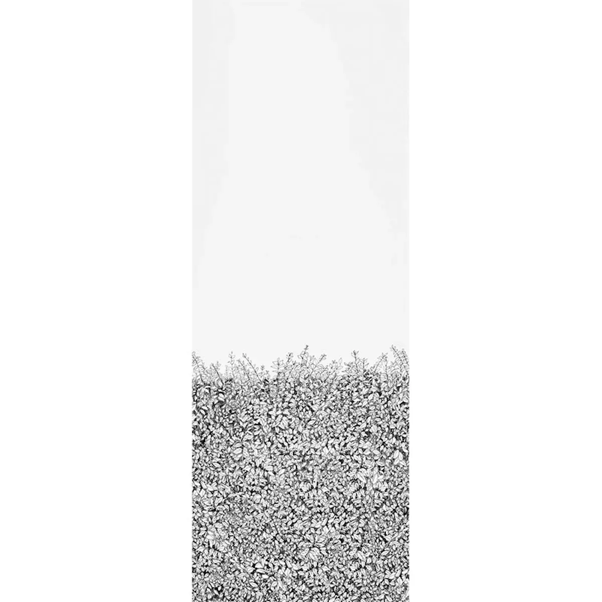 GREENERY GALORE VINYL PANEL BLACK Schumacher Wallpaper wallpaper - SKU 5010130