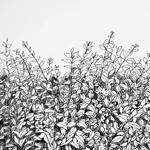 GREENERY GALORE VINYL PANEL BLACK Schumacher Wallpaper wallpaper - SKU 5010130