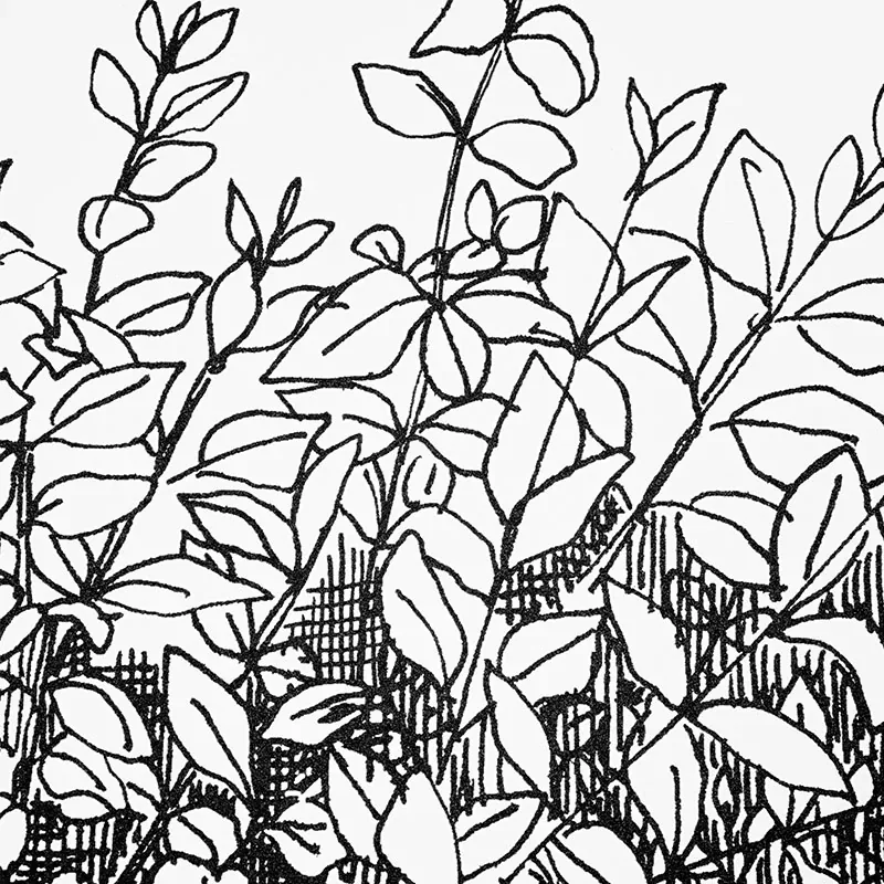 GREENERY GALORE VINYL PANEL BLACK Schumacher Wallpaper wallpaper - SKU 5010130