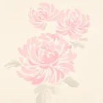 HANA SISAL - PINK Schumacher Wallpaper | Wallpaper Twins HANA SISAL PINK Schumacher Wallpaper wallpaper - SKU 5009041