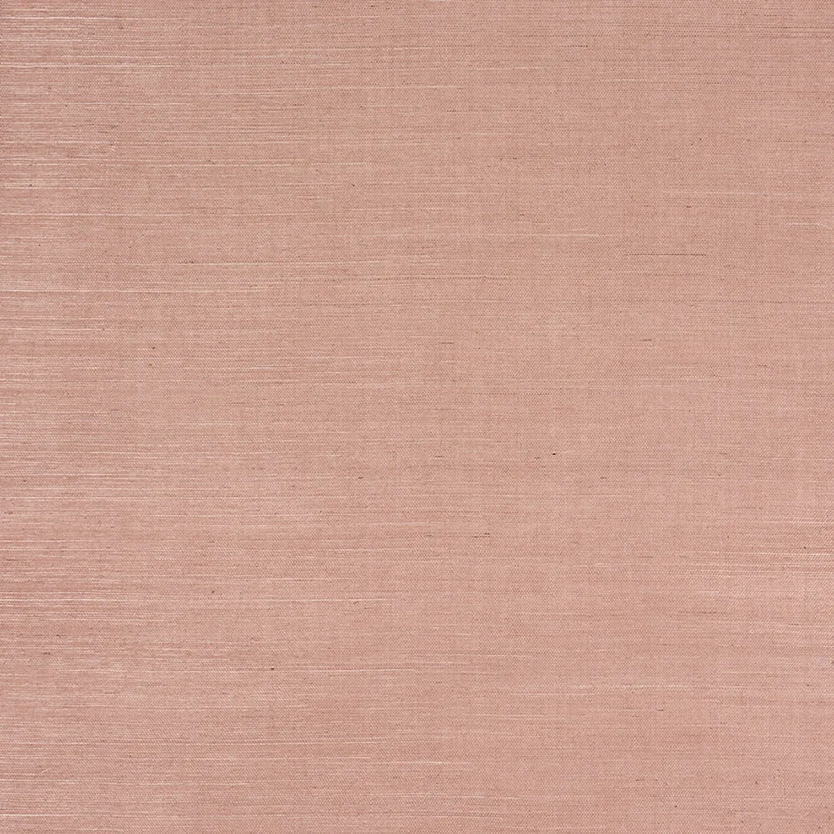 HARUKI SISAL 36 HOURS IN MARRAKESH Schumacher Wallpaper wallpaper - SKU 5016850