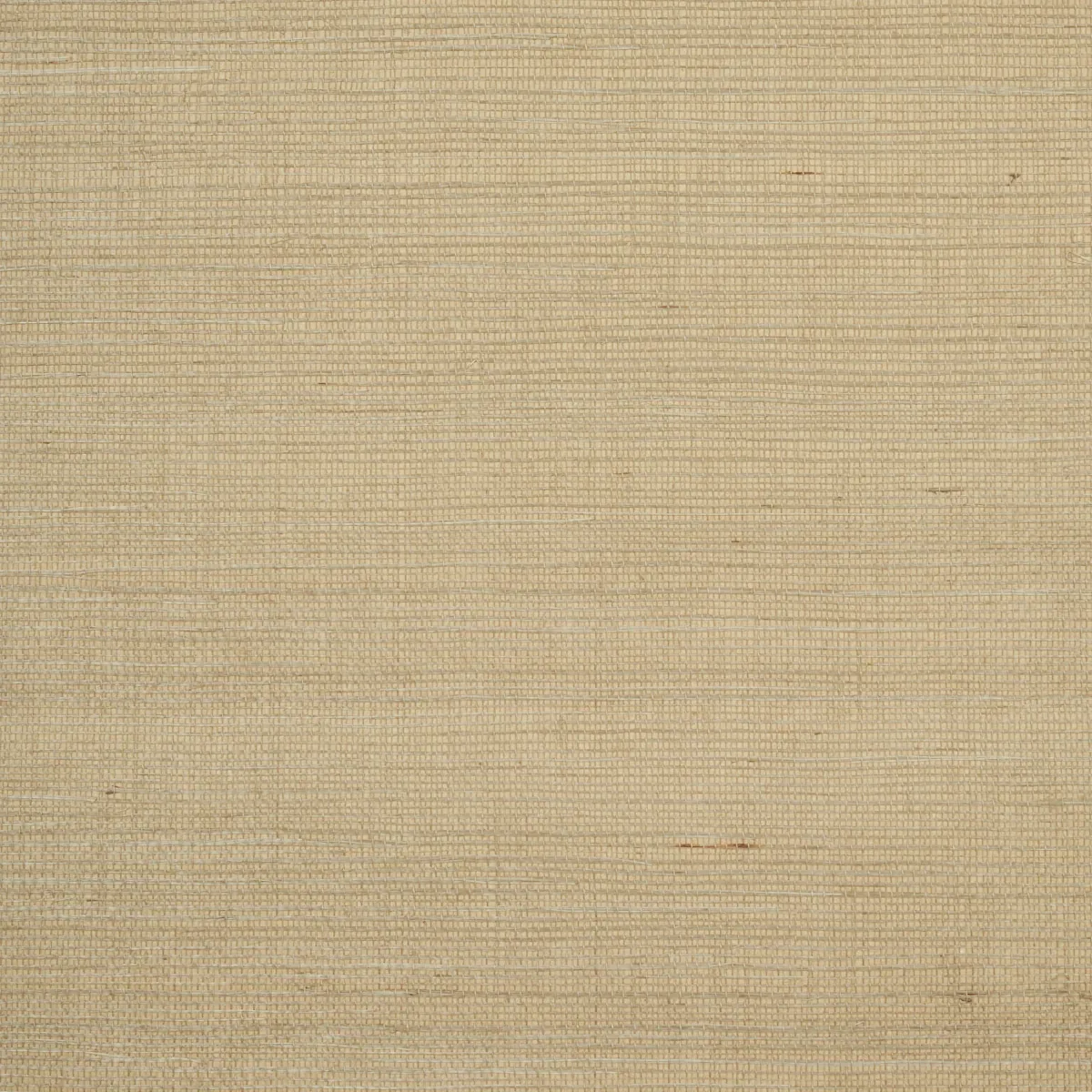 HARUKI SISAL room view