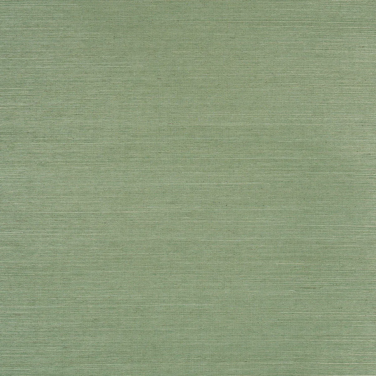 HARUKI SISAL