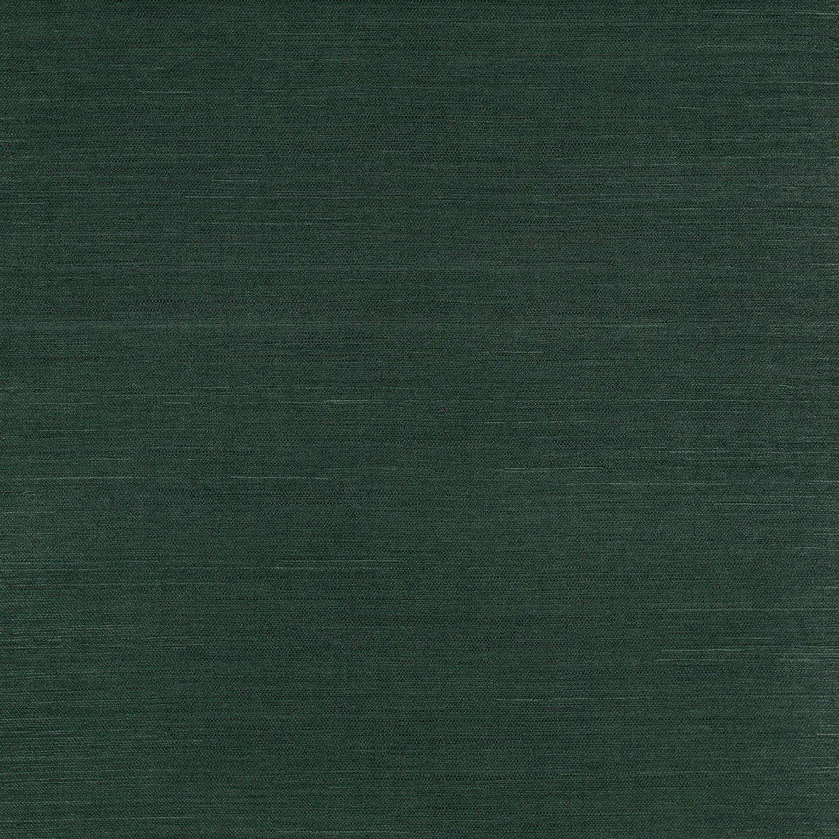 HARUKI SISAL