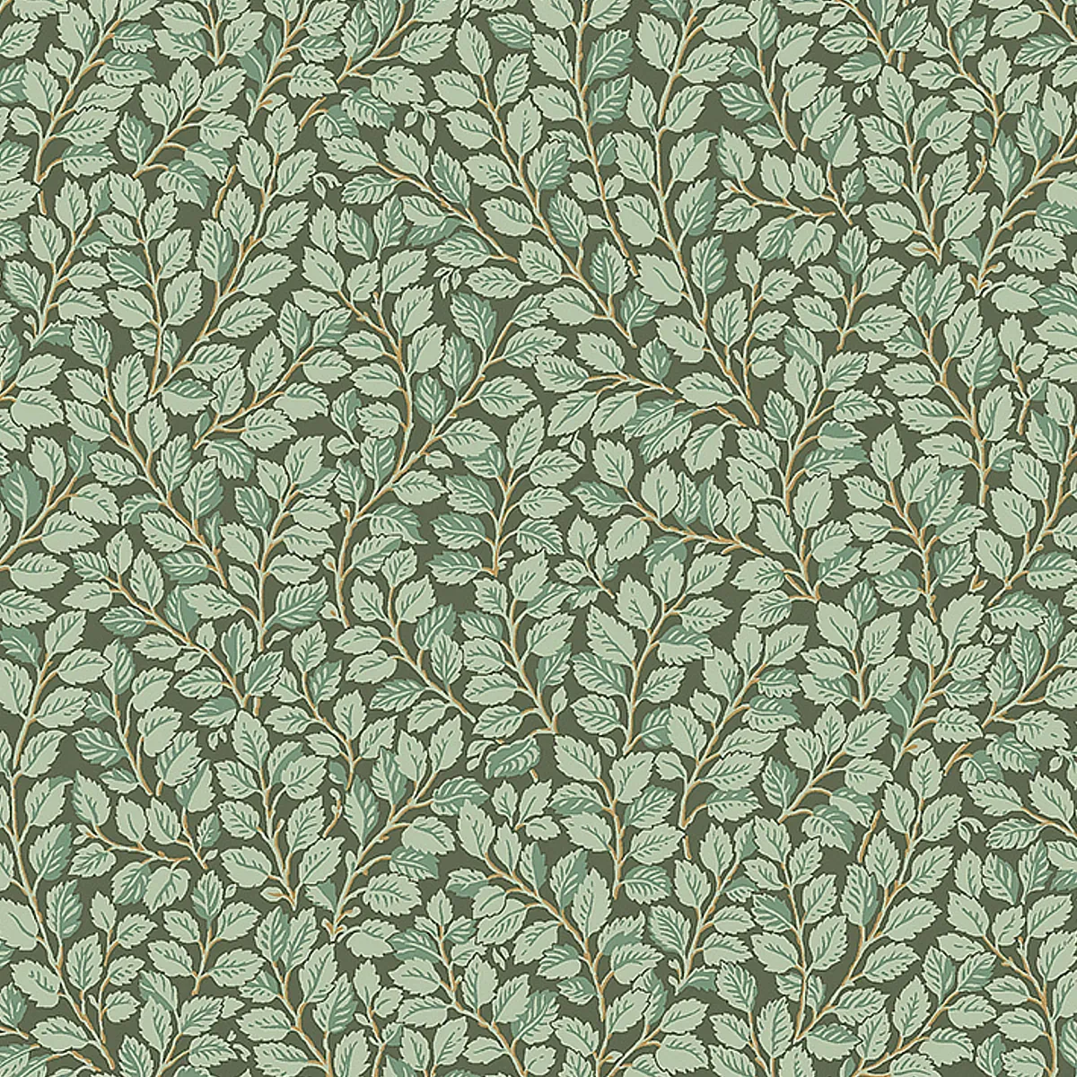 7663 | HAZEL – SPRUCE