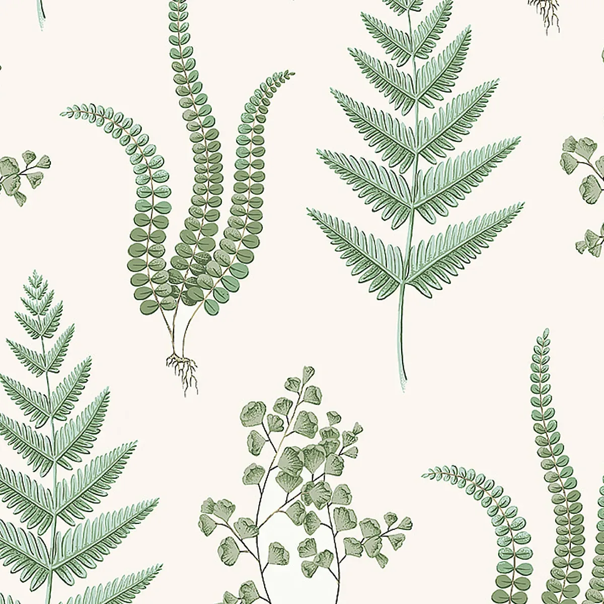 HERBA LEAF Schumacher Wallpaper wallpaper - SKU 7657