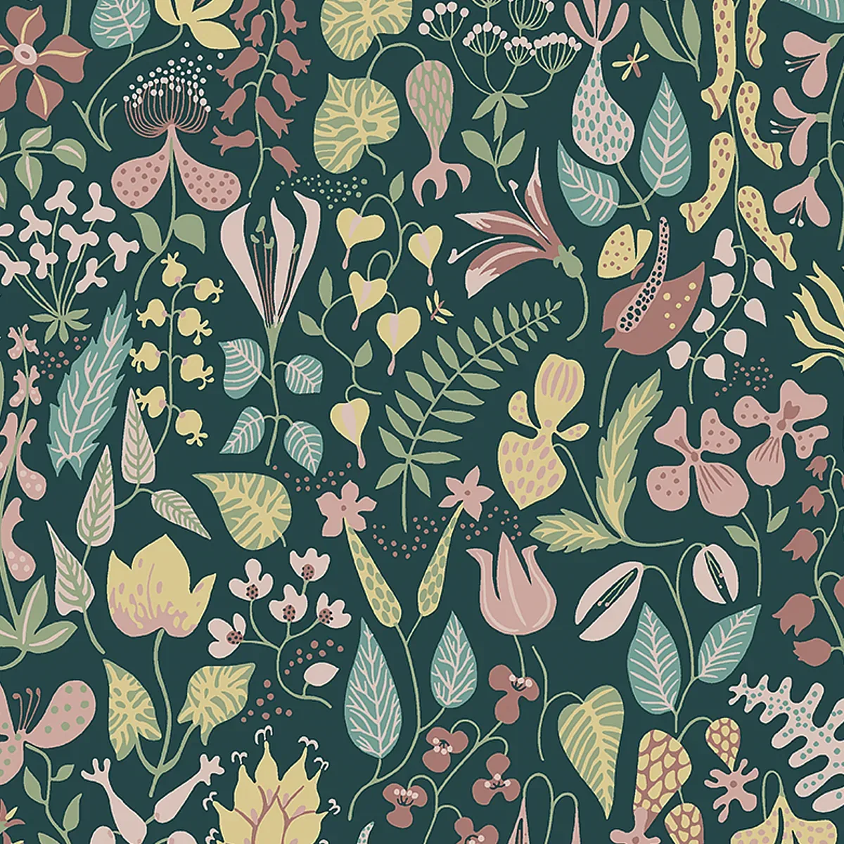 1976 | HERBARIUM – SPRUCE