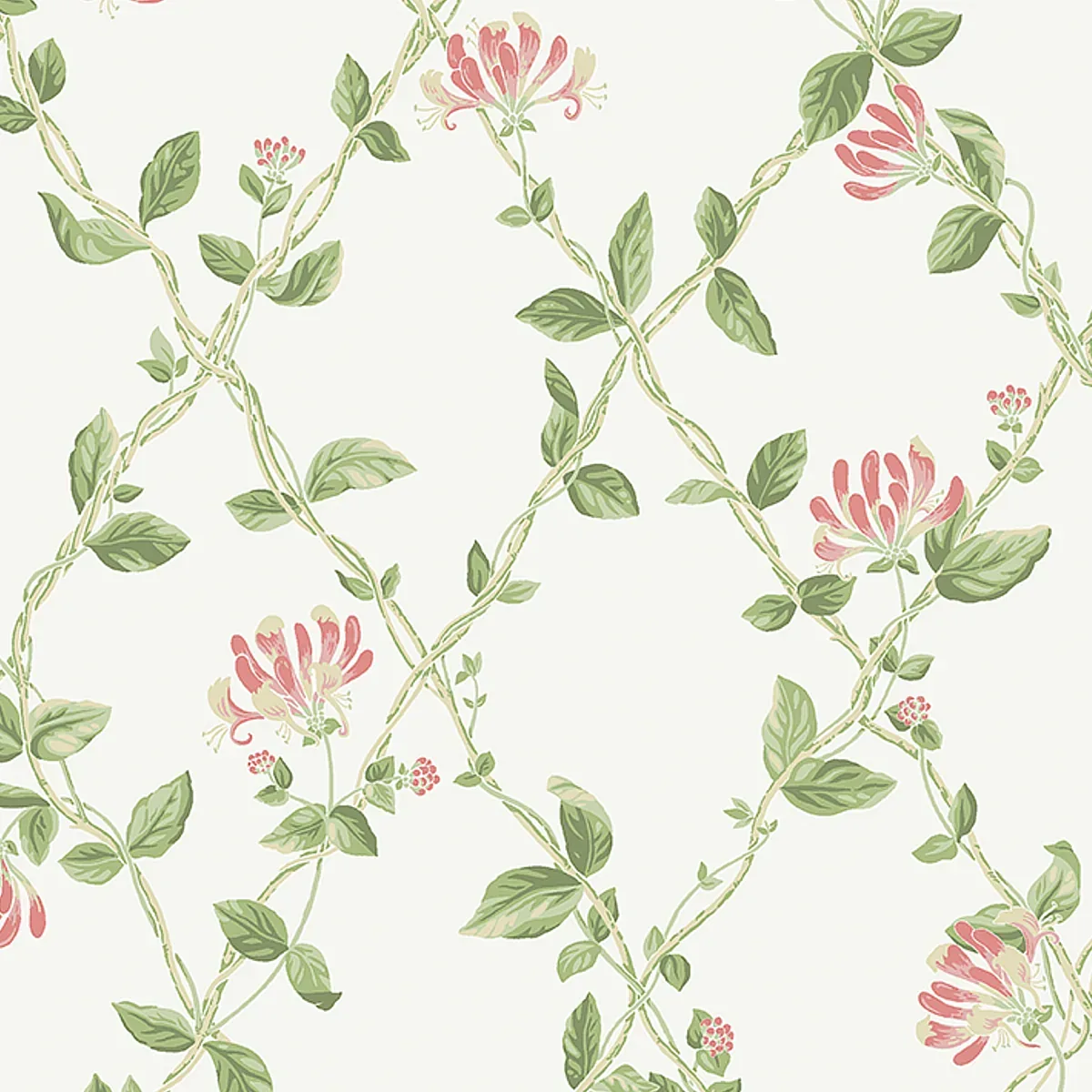 HONEYSUCKLE IVORY Schumacher Wallpaper wallpaper - SKU 8852