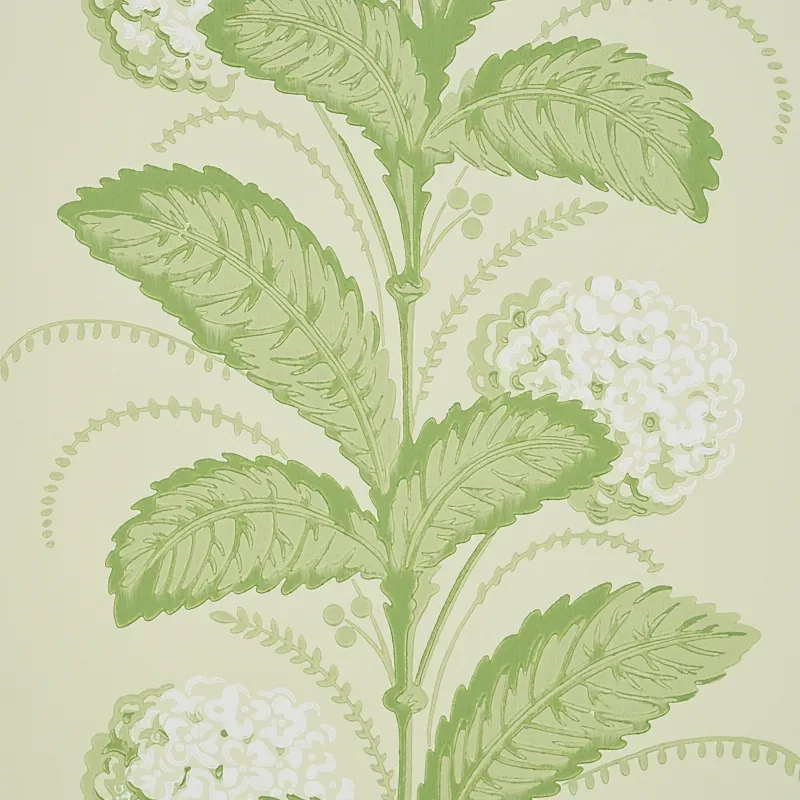 HYDRANGEA DRAPE GREEN Schumacher Wallpaper wallpaper - SKU 5004456