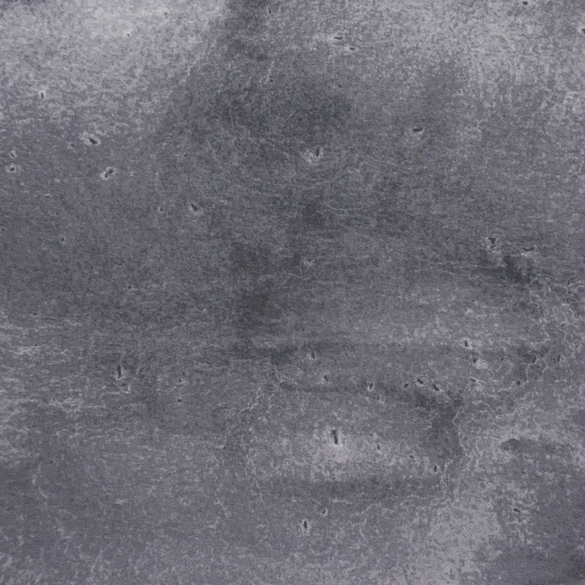HYPERION - OFF BLACK Schumacher Wallpaper | Wallpaper Twins HYPERION OFF BLACK Schumacher Wallpaper wallpaper - SKU 5013651