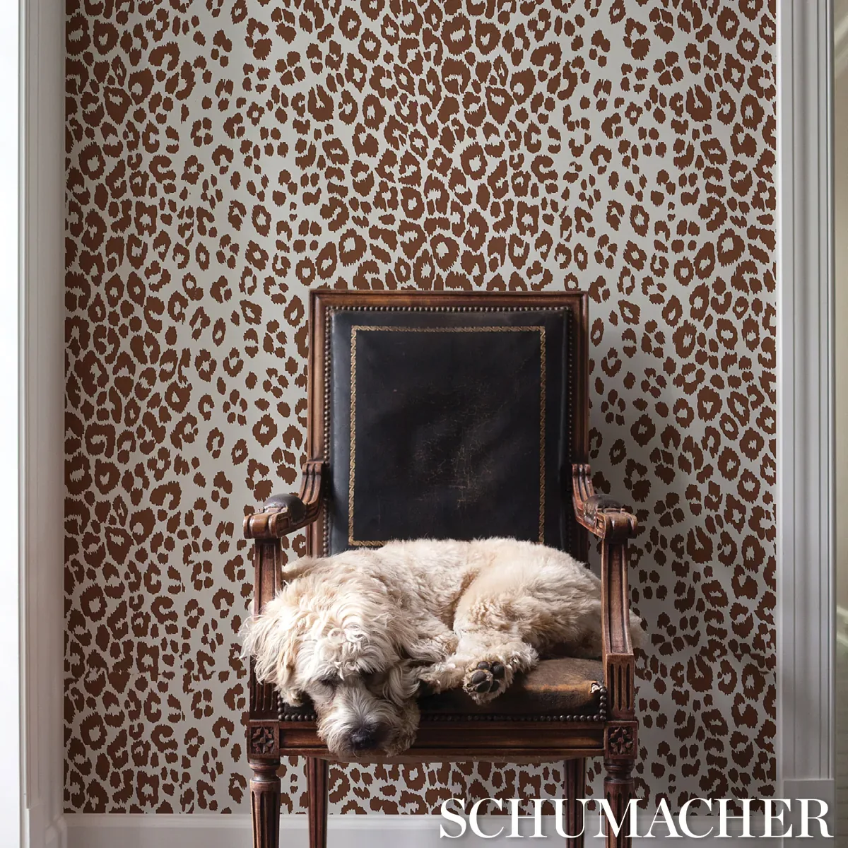 ICONIC LEOPARD BROWN Schumacher Wallpaper wallpaper - SKU 5007018