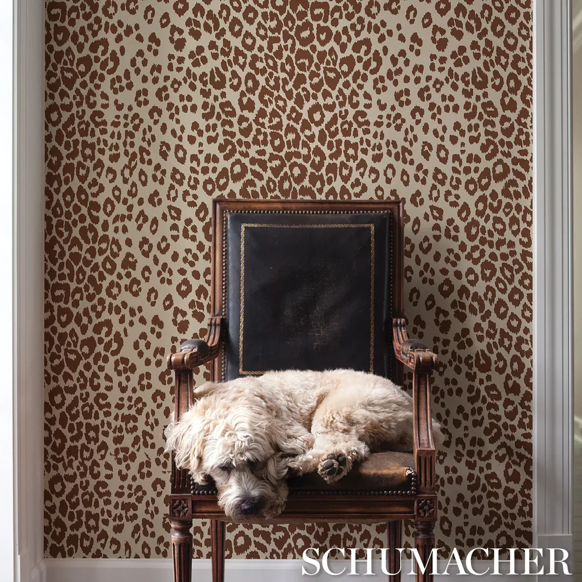 ICONIC LEOPARD BROWN ON NEUTRAL Schumacher Wallpaper wallpaper - SKU 5007019