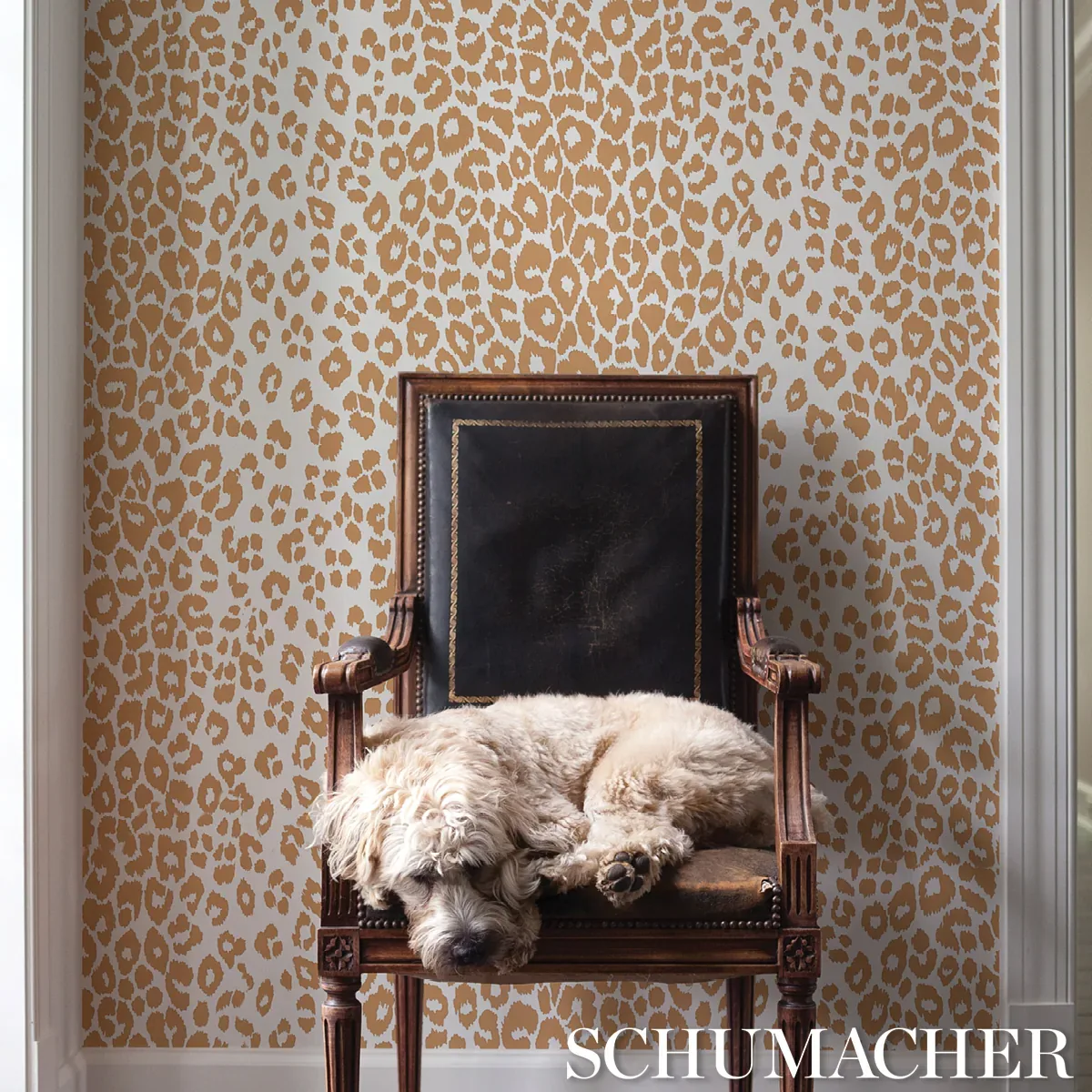 ICONIC LEOPARD CAMEL Schumacher Wallpaper wallpaper - SKU 5007017