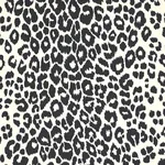 ICONIC LEOPARD GRAPHITE Schumacher Wallpaper wallpaper - SKU 5007012