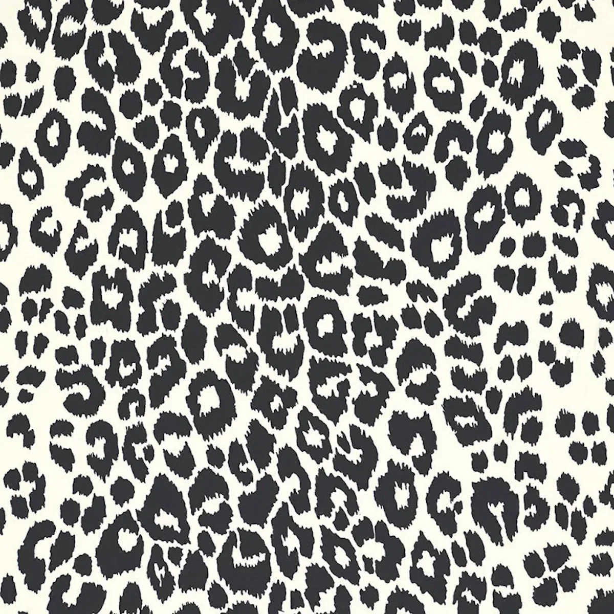 ICONIC LEOPARD GRAPHITE Schumacher Wallpaper wallpaper - SKU 5007012