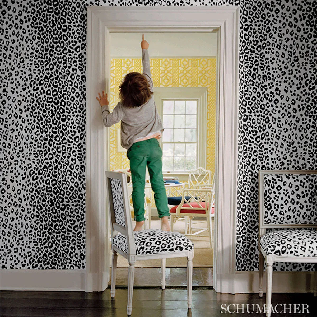 ICONIC LEOPARD GRAPHITE Schumacher Wallpaper wallpaper - SKU 5007012