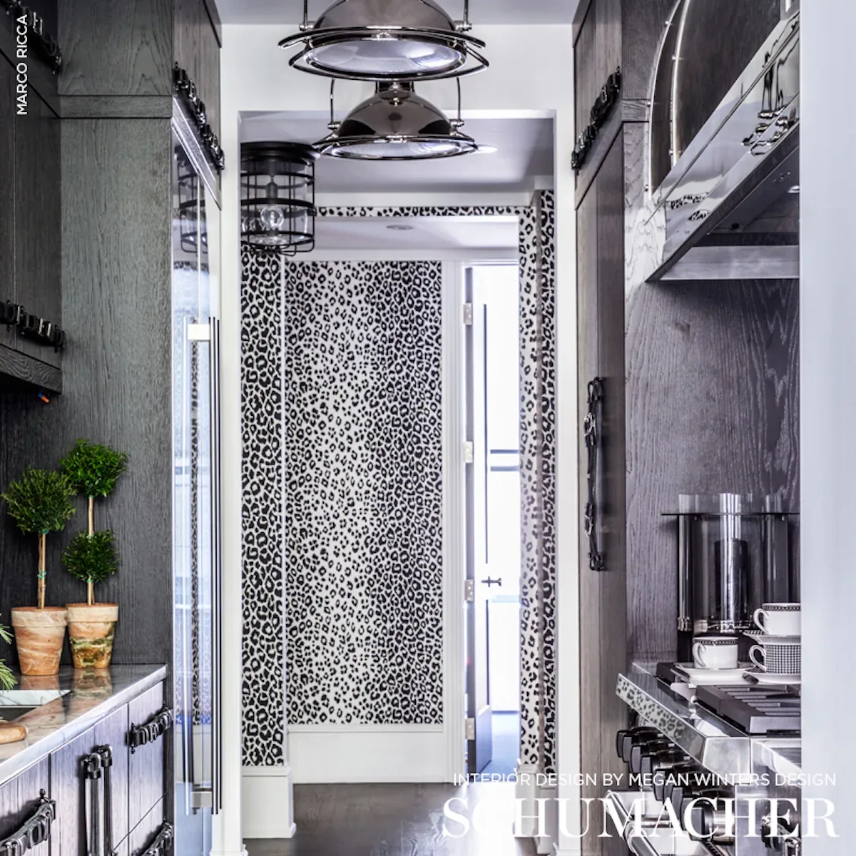 ICONIC LEOPARD GRAPHITE Schumacher Wallpaper wallpaper - SKU 5007012