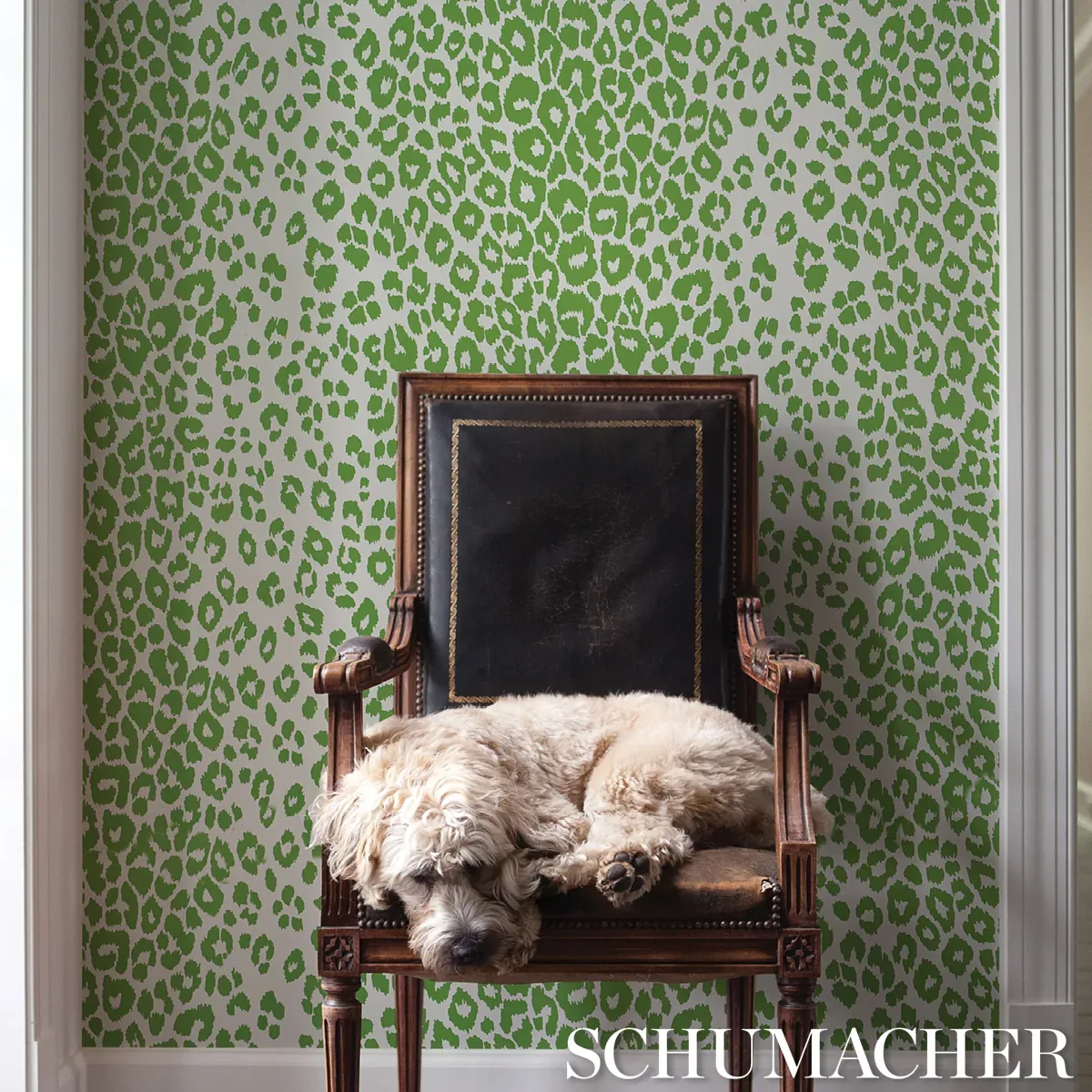 ICONIC LEOPARD GREEN Schumacher Wallpaper wallpaper - SKU 5007015
