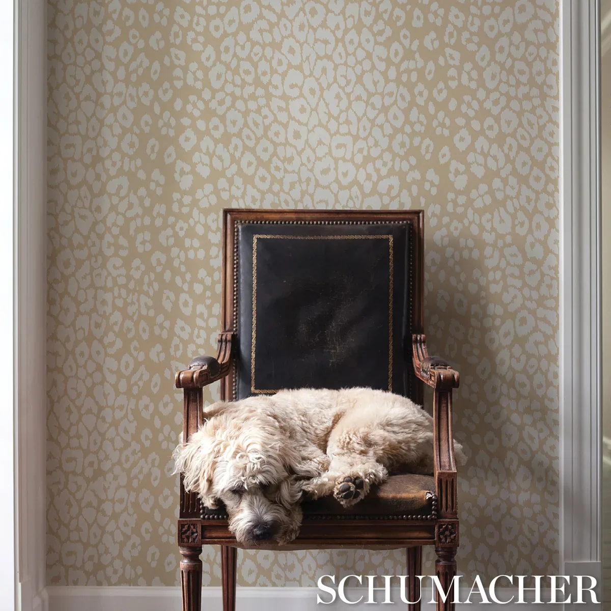 ICONIC LEOPARD IVORY ON NEUTRAL Schumacher Wallpaper wallpaper - SKU 5007020