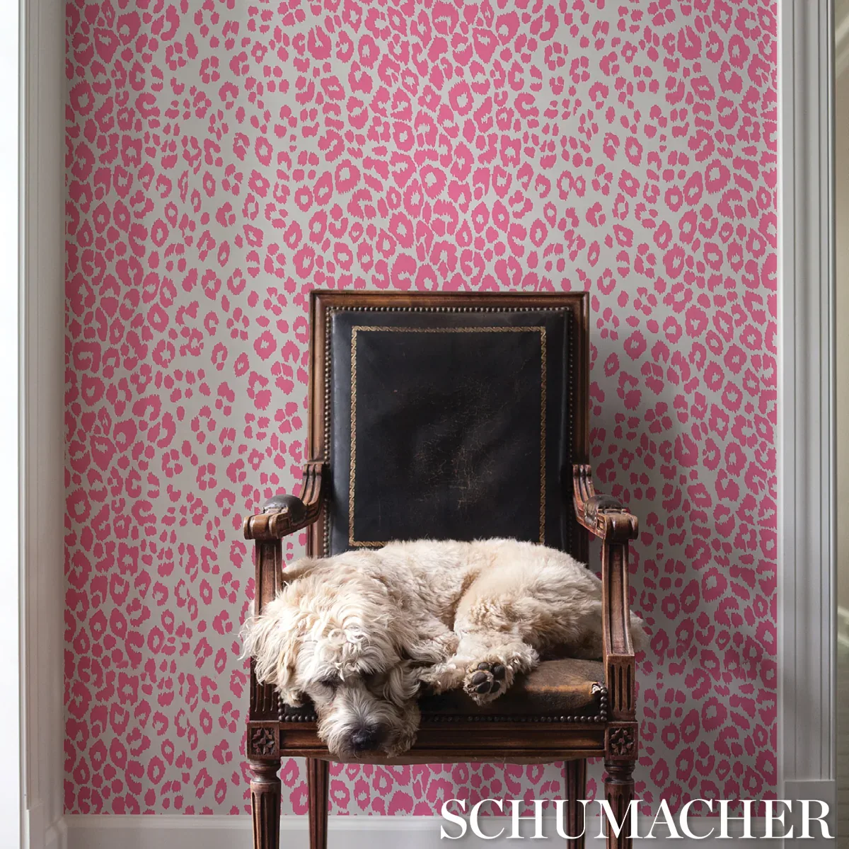 ICONIC LEOPARD PINK Schumacher Wallpaper wallpaper - SKU 5007016