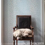 ICONIC LEOPARD SKY Schumacher Wallpaper wallpaper - SKU 5007014