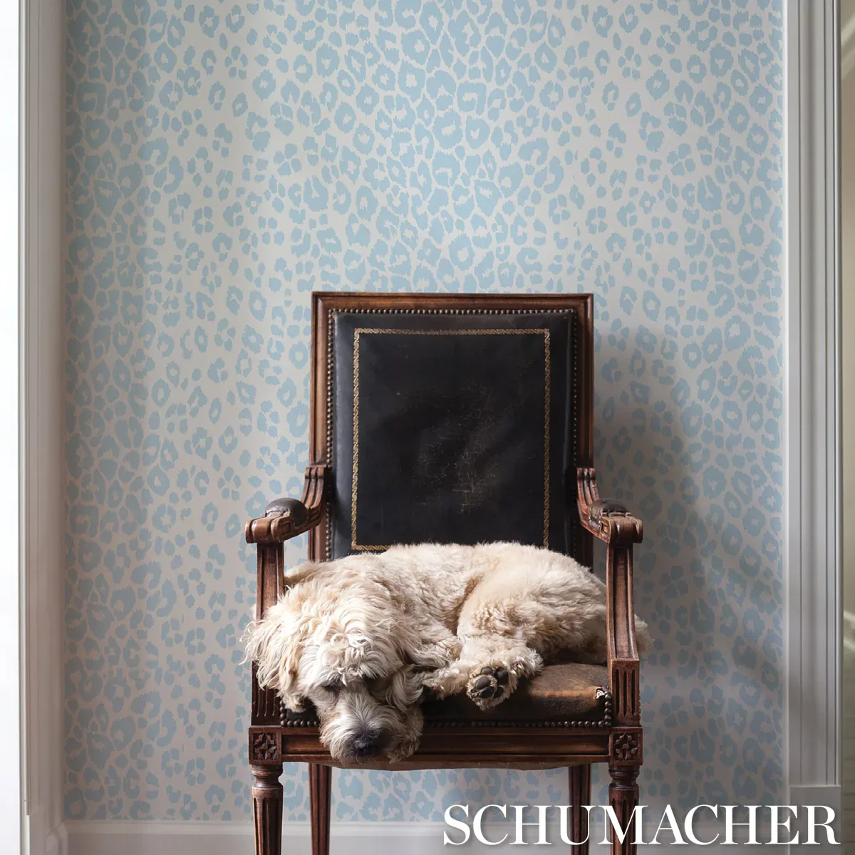 ICONIC LEOPARD SKY Schumacher Wallpaper wallpaper - SKU 5007014