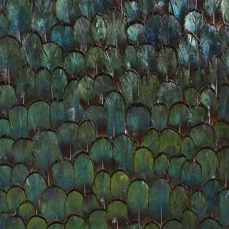 JADE FOREST GREEN Schumacher Wallpaper wallpaper - SKU 5008380