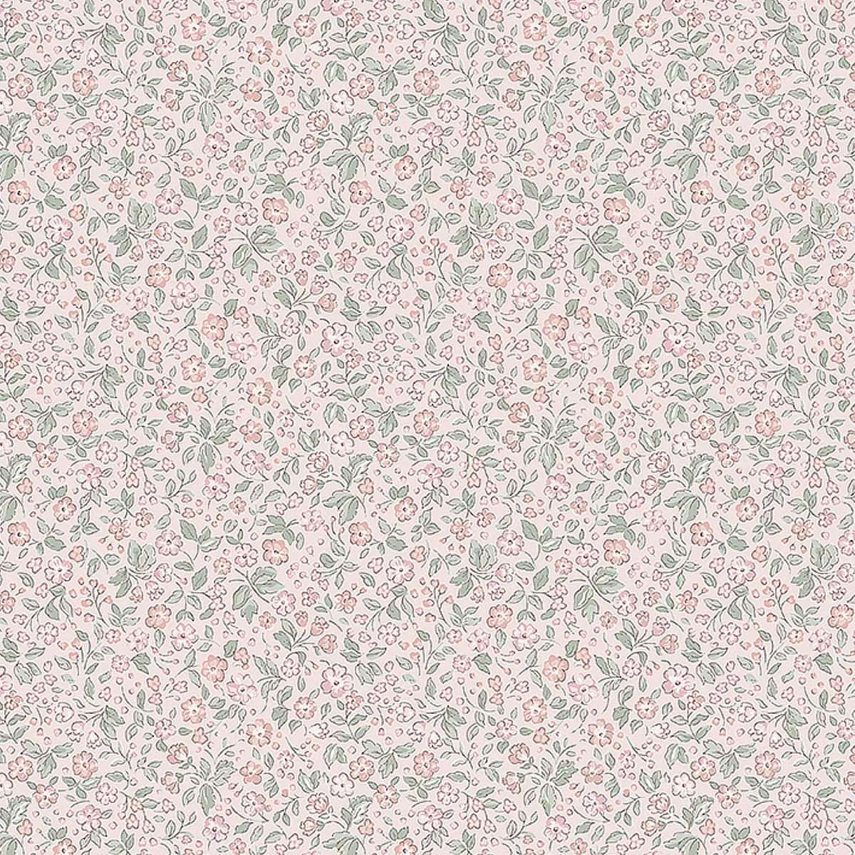 7467 | JASMINE – PETAL