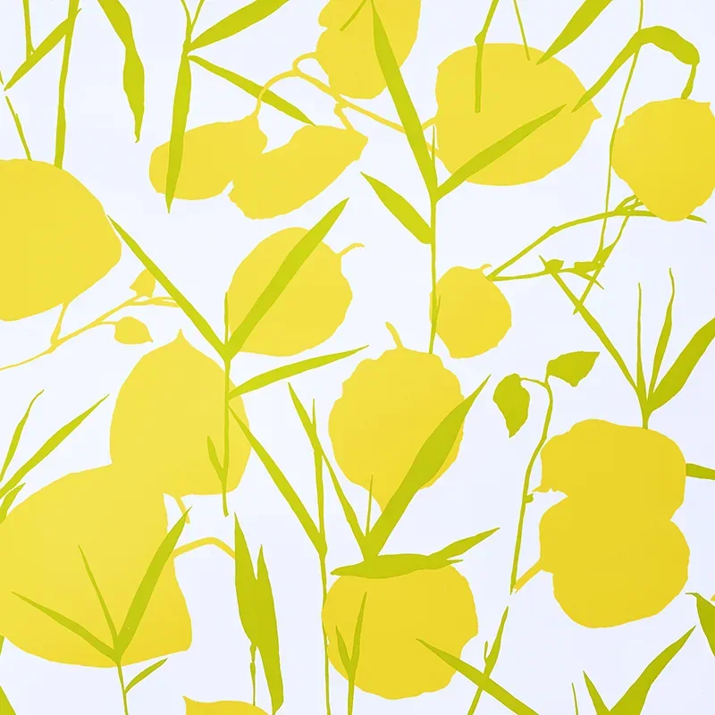JOAN YELLOW Schumacher Wallpaper wallpaper - SKU 5010780