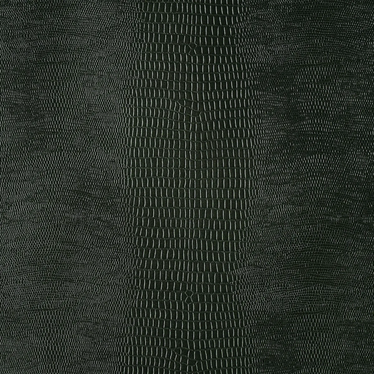 KOMODO FOREST GREEN Schumacher Wallpaper wallpaper - SKU 5007342