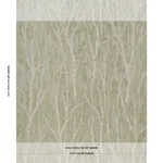 KOMOREBI ILLUMINATED FOREST Schumacher Wallpaper wallpaper - SKU 5016591