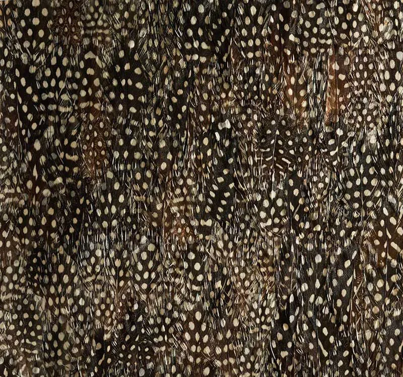 KRYPTON BLACK PEARL Schumacher Wallpaper wallpaper - SKU 5008390