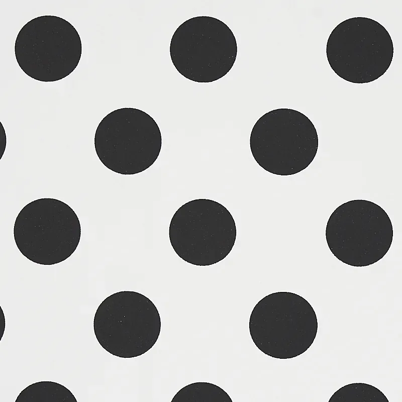 LADY BLACK & WHITE Schumacher Wallpaper wallpaper - SKU 5012610
